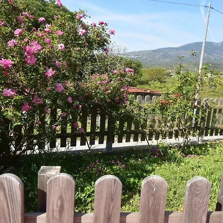 Casa Bonarosa Σπίτι διακοπών Marina di Campo